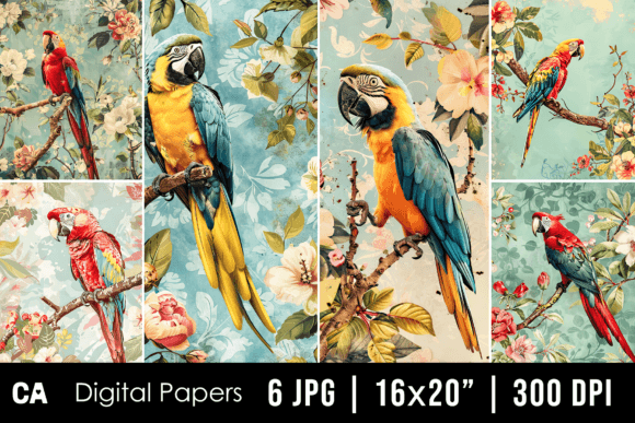 Unleash Tropical Charm: Vintage Parrot Journal Pages & Backgrounds